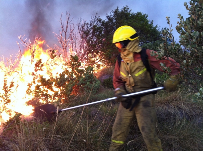  CONVOCATORIA CONTRATACIN DE VARIOS PUESTOS PARA LA FORMACIN DE UNA BRIGADA DE PREVENCIN Y EXTINCIN DE INCENDIOS FORESTALES