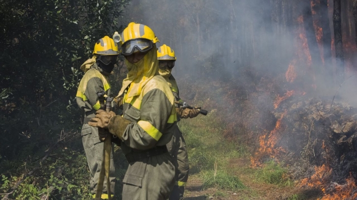 BOLSAS DE EMPREGO PARA POSTOS DA BRIGADA DE PREVENCIN E EXTINCIN DE INCENDIOS FORESTAIS