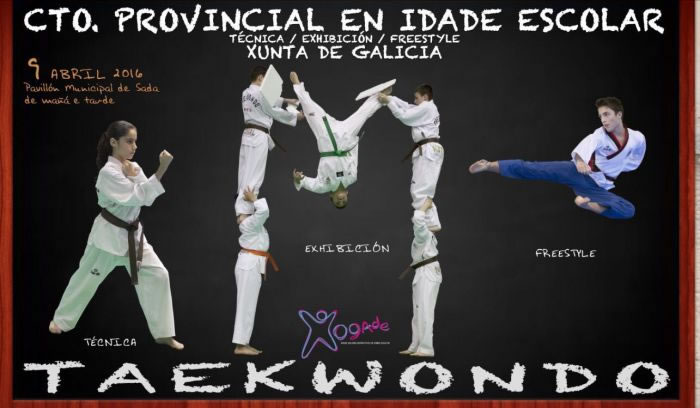 Campeonato Escolar Provincial de Técnica, Exhibición y Free-Style de Taekwondo