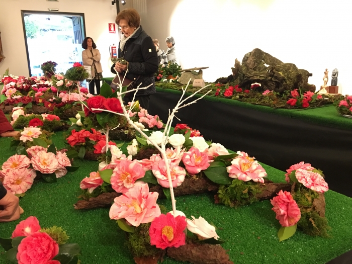 Exposicin "A Camelia de As Marias" en la Capilla de San Roque