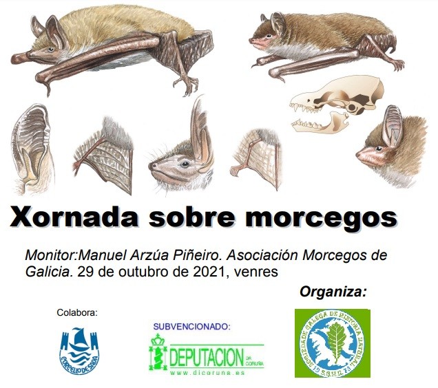 Xornada sobre morcegos 