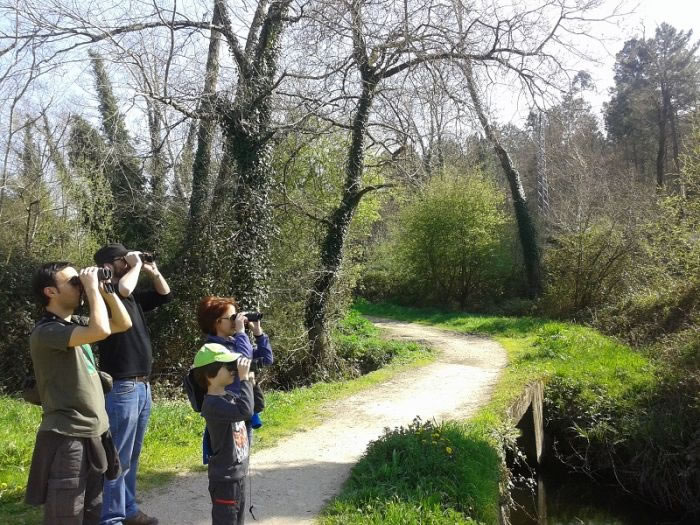 III MARATN ORNITOLXICA NA RESERVA DE BIOSFERA "MARIAS CORUESAS E TERRAS DO MANDEO"