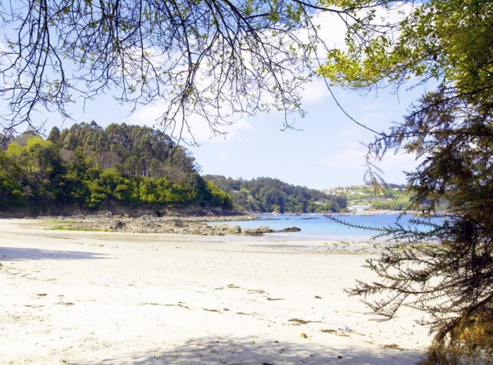 As augas dos areais de San Pedro e Arnela cualificadas como excelentes