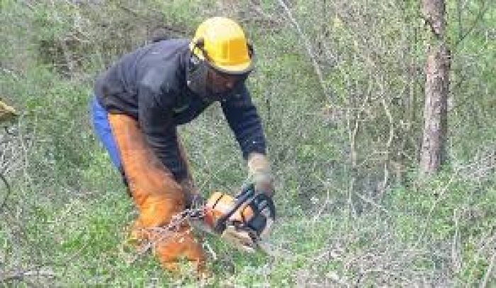 PROCESO SELECTIVO RESTRINXIDO SUBVENCIN APROL DO SERVIZO PBLICO EMPREGO GALICIA - PEN FORESTAL