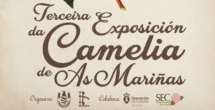 Sada celebra en marzo a III Exposicin da Camelia de As Marias