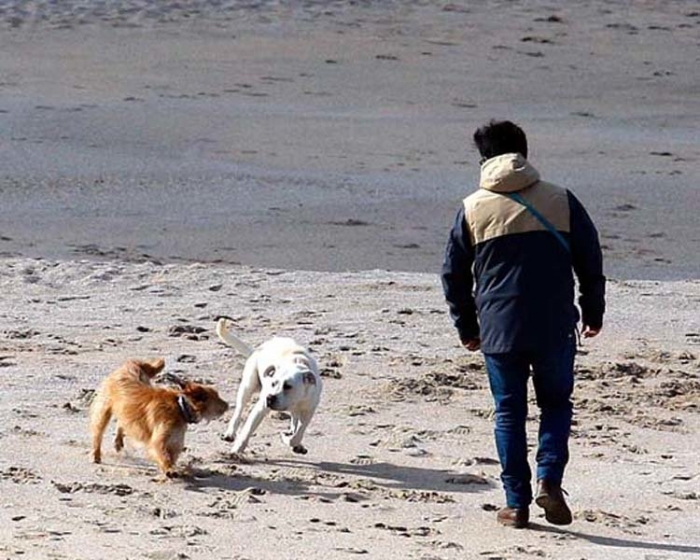 Sada convoca o Consello Sectorial Ambiental onde se revisar, coas aportacins veciais, a normativa municipal sobre benestar animal