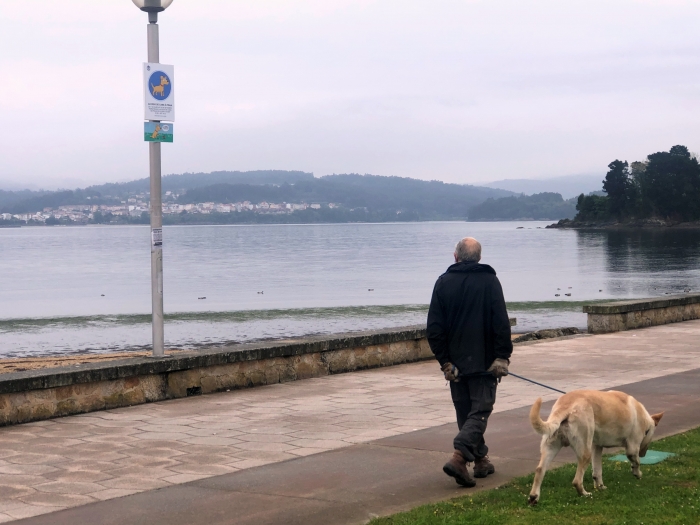 Sada permitir el acceso de perros las playas en horario de noche y la primera hora de la maana en la poca del verano.