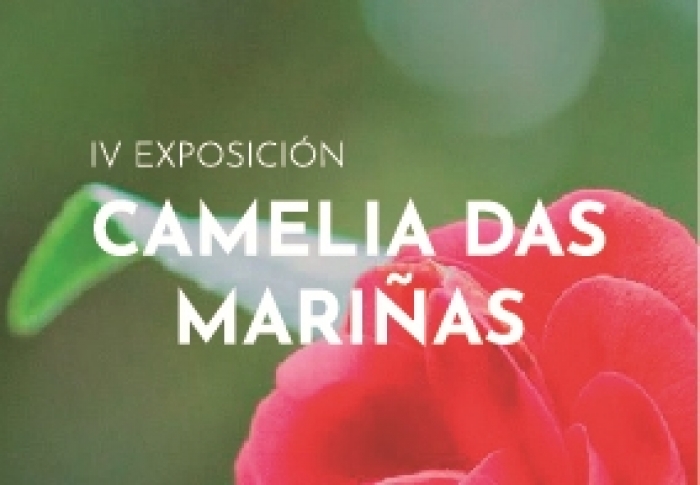 Sada programa la IV Exposicin de la Camelia das Marias